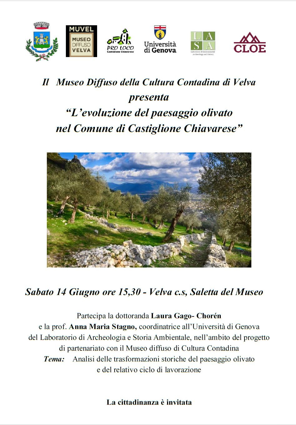 Il paesaggio olivato nel Comune di Castiglione Chiavarese